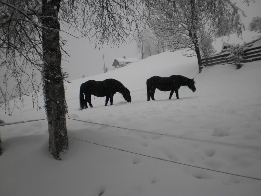 Haus Schoenleiten Wagrain Luaran gambar