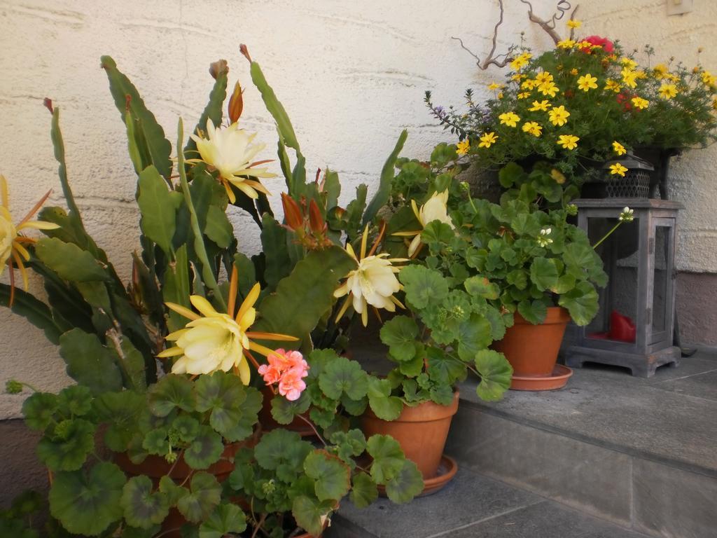 Haus Schoenleiten Wagrain Luaran gambar
