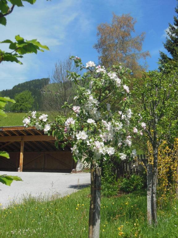 Haus Schoenleiten Wagrain Luaran gambar