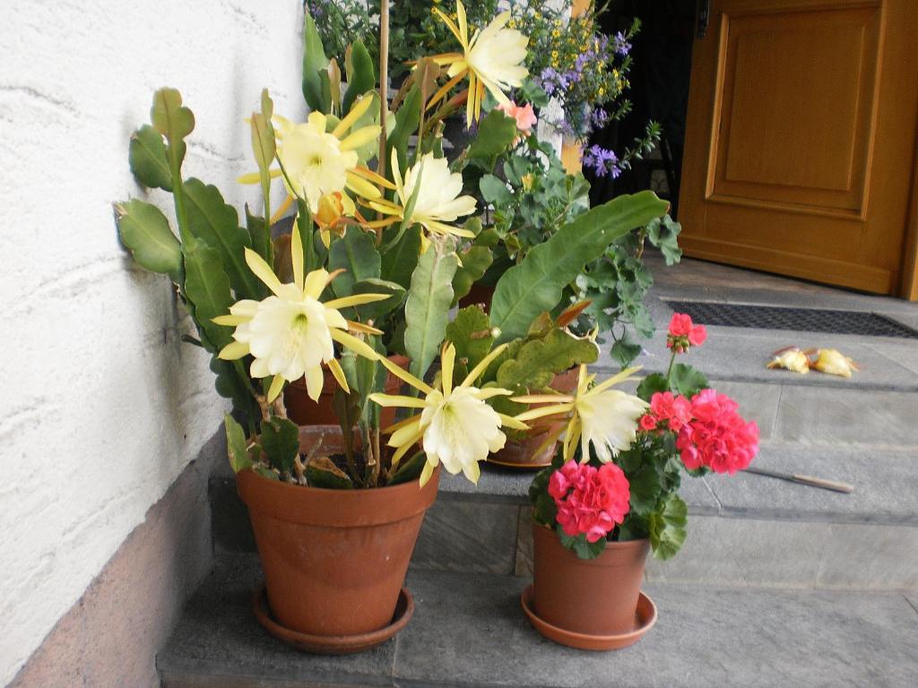 Haus Schoenleiten Wagrain Luaran gambar